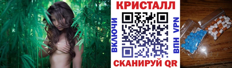 что такое   Новосиль  АМФ 98% 