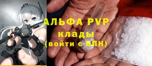 СК Алексин
