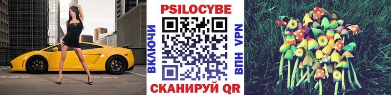 Галлюциногенные грибы GOLDEN TEACHER  Новосиль 